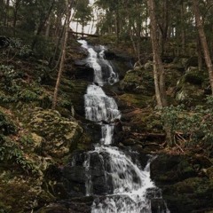 last december (p. dercpet + xmichealwarren)