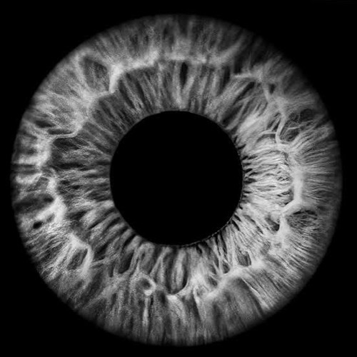 ALL EYES TWXN, LL Clawz, 507KAZ