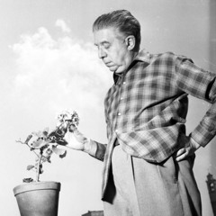 I limoni ~ Eugenio Montale