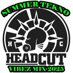 SUMMER TEKNO VIBEZ MIX 2025