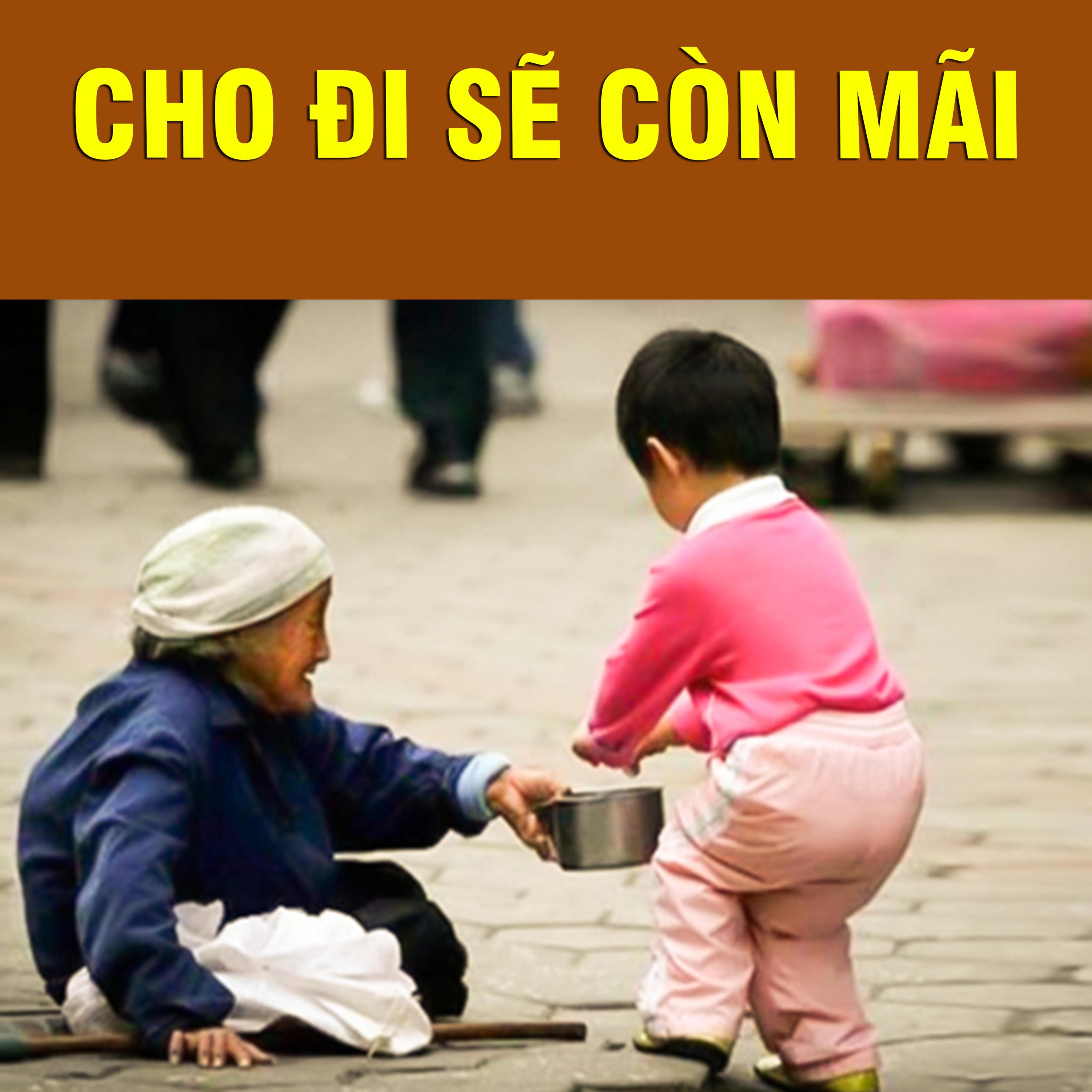 Thích Bảo Nguyên
