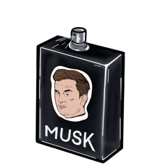 Elon’s Musk