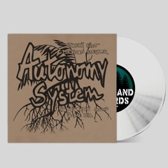 WR033: (SIDE AA) HOMEGROWN SOUND & MC MIA - System