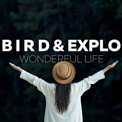 Explo & DIKOS - Wonderful life (Original Mix)