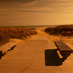 Calming waves for sleep or studying