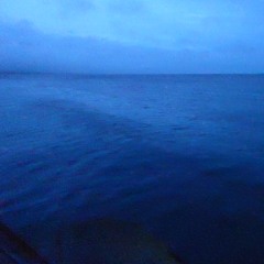 Ebb and Flow (April 4th 2020)