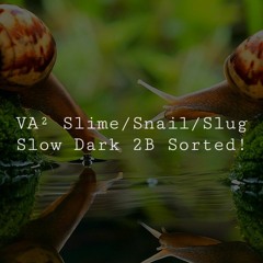 [VA] 1st Slime Snail Slug Dark & Forest Psy3 | Q5 (193)