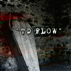 "TD Flow"(Prod By. SAMASHI)