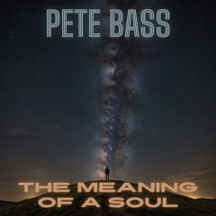 The Meaning of a Soul