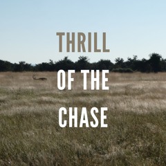 Someday Isle | Thrill of the chase