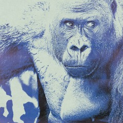 gorillathaspinna (ft. Freddie Gibbs)