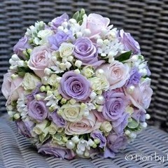 This Area Contains A Summary Of The Top Flowers Sh