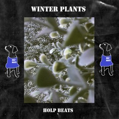 Winter Plants