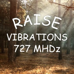 Raise Your Vibration 727 MHDz Positive Energy Manifest Miracles Elevate Frequency