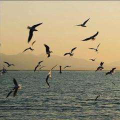 Nuwie ft. Kevindauroi - Vụn