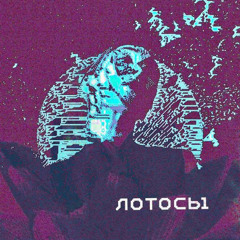 лотосы