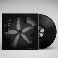 [VRVNL003]  Martyn Päsch - Rêve (Incl. Sheol & Traversable Message Remixes) [Previews]