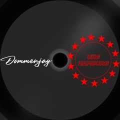 4X4 UK Garage, Bassline, German Garage, 2 Step, Speed Garage Mix 2025 (mixed by DJ Dommenjay)