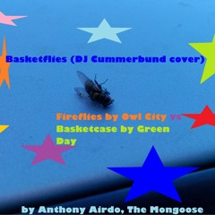 Basketflies (DJ Cummerbund, Owl City, And Green Day Cover)