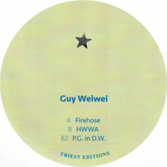 Guy Weiwei - HWWA