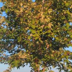my change of season