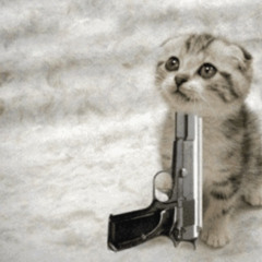 disappointment (feat. siraa)