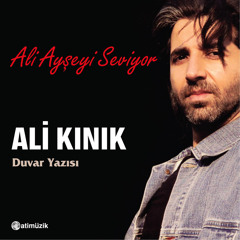 Ali Ayşe'yi Seviyor / Duvar Yazısı