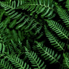 The Underground Project