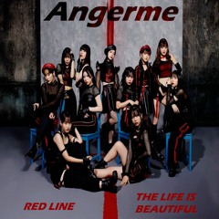 RED LINE / Beautiful Life