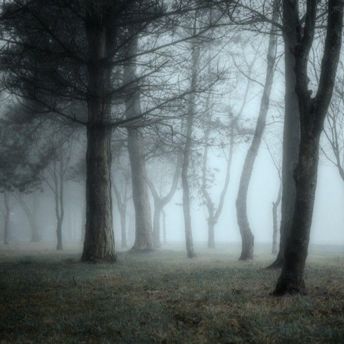 Wicked game - Chris Isaak, sped up.