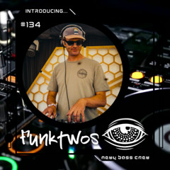 Introducing... Guest Mix #134 Funktwos