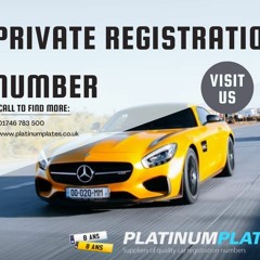 Earn Money Easily With A Private Registration Number