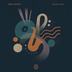 PREMIERE: John Groove - So Into You [Hive Label]