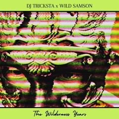 Wild Samson - No Subliminals Feat. Haz