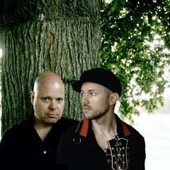 Tomas Andersson Wij & Peter LeMarc: Fåglar i färg