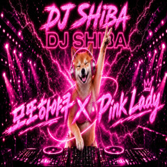 Stream DJ Shiba music | Listen to songs, albums, playlists for