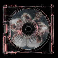 Puzzle - Love Of Nature [DID005]