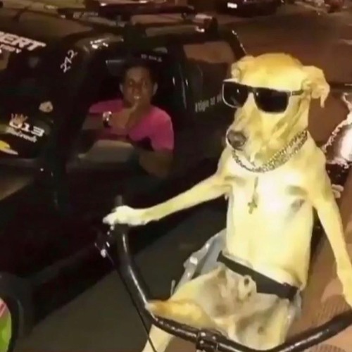 DICE TOSSIN' MAC WALKIN'