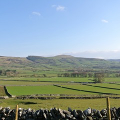 Nightingale (Norah Jones Cover)