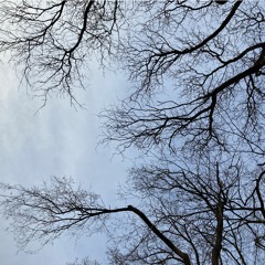 baby where you are - ted lucas