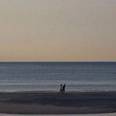 Call Girl (Lofi Ver.) - Trung Tự x GaoThom Remix