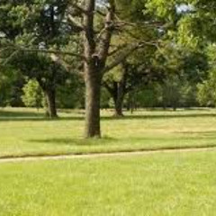 Election Connection | The Public Speaks Out at Champions Park and Beyond Public Meeting | 8-11-25