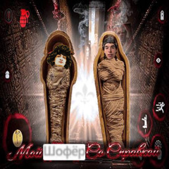 шофёр & мой флоу со справкой (mashup)