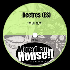 Deetres (ES) - What Now (Original Mix) - More Than House [MTH280]