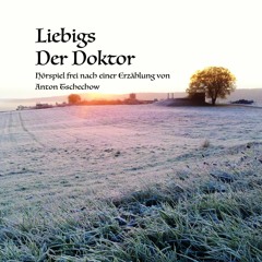 Liebigs Der Doktor