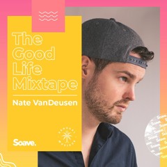 Summer Vibes - Tropical Chill House 2023 | Soave Sessions by Nate VanDeusen 🌴