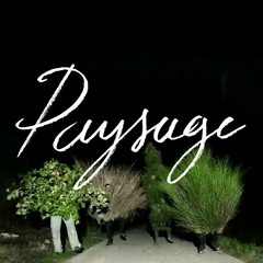 MPL - Paysage