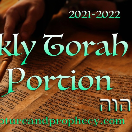Torah Portion - Week 3 - Lech Lecha (Go Forth): Genesis 12–17 - The Call of Abram