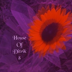 House Of Ditrik 8