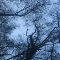 Hisley Bridge 3 January 2022